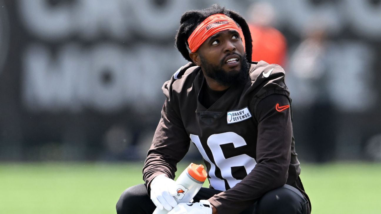 Browns Sign WR Diontae Johnson After Struggling 2024 Season