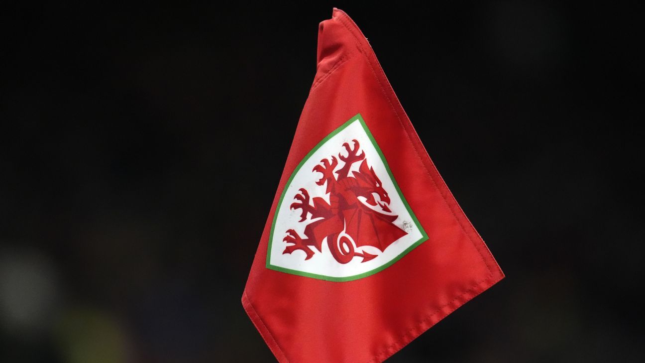Wales players, staff ‘OK’ after bus crash at Euros