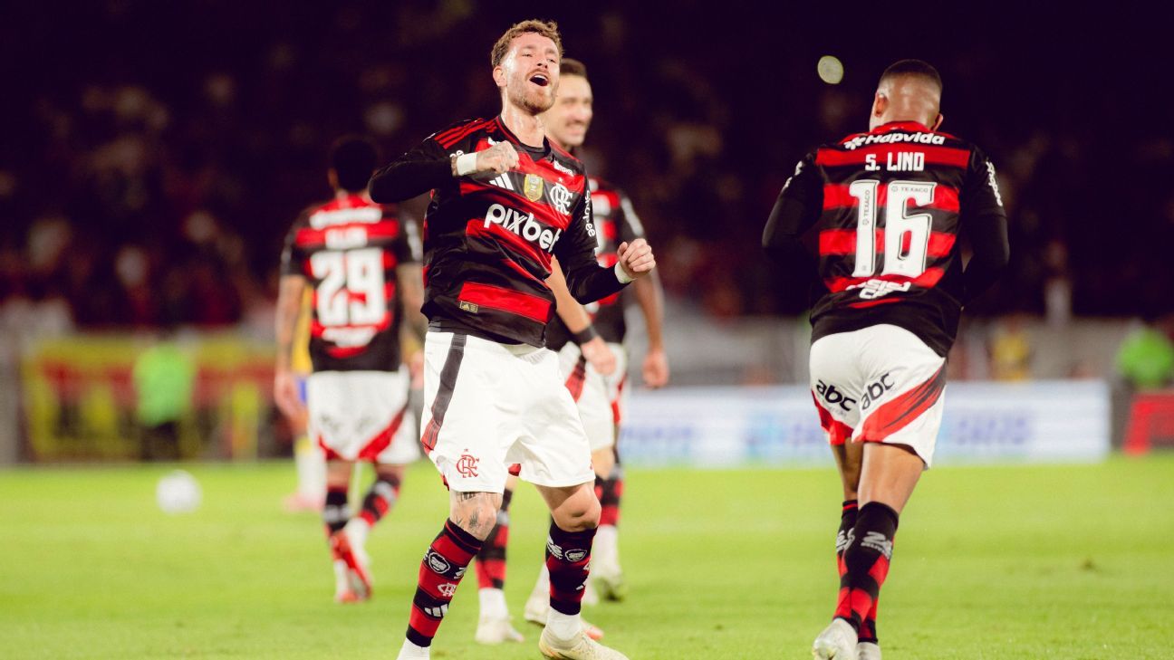 flamengo mantém liderança do brasileirão após vitória sobre mirassol e eliminação na copa.