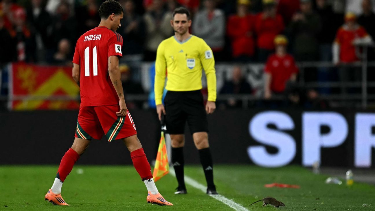 Courtois persigue rata en partido Gales vs. Bélgica: Mundial en juego 5 Courtois persigue rata en partido Gales vs. Bélgica: Mundial en juego