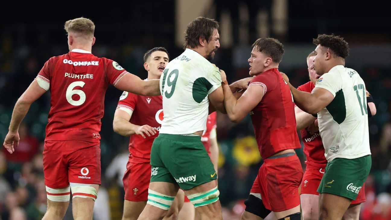 Eben Etzebeth red card mars South Africa rout over Wales