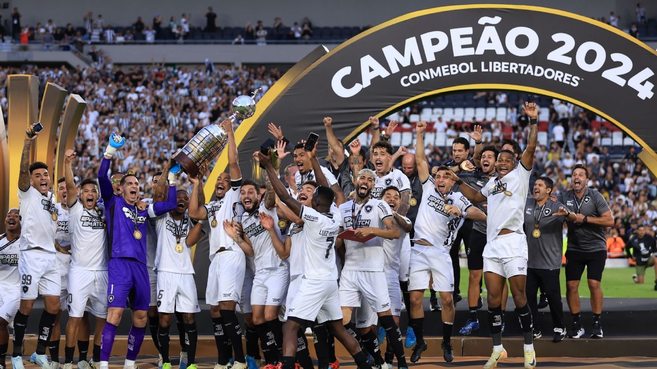 Cruzeiro busca reforço e negocia com campeão da Libertadores do Botafogo