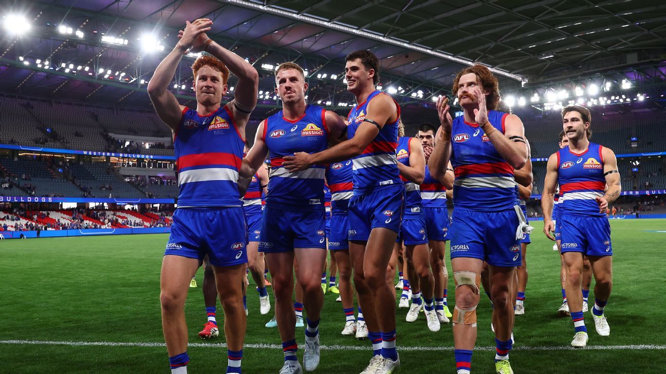 Close last year, much better now: The Dogs may have fixed their only flaw