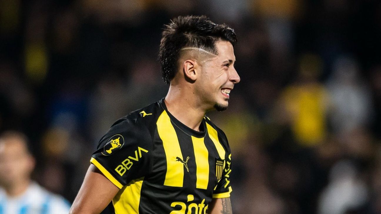 Nicolás Fernández: "Hay un plantel muy rico en todas las líneas y en el medio estamos muy bien" - ESPN Nicolás Fernández: "Hay un plantel muy rico en todas las líneas y en el medio estamos muy bien" - ESPN