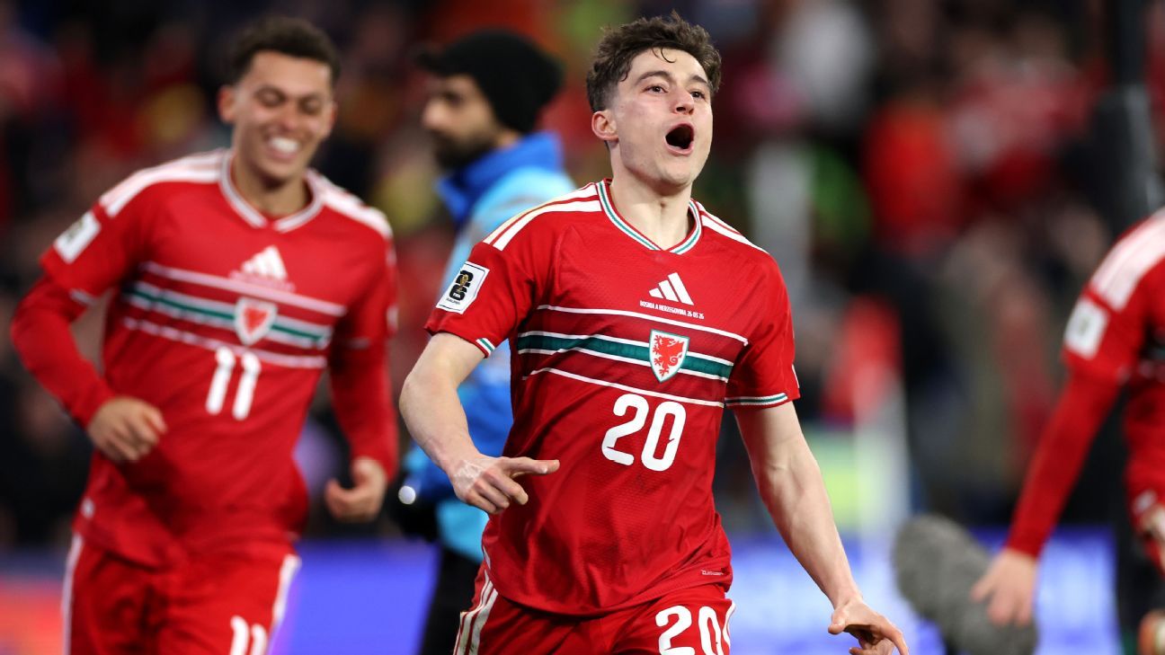 Wales vs Bosnia match action