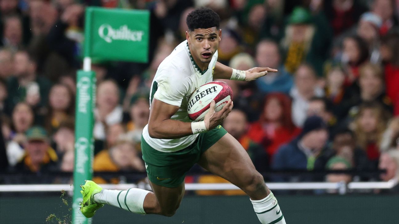 Sacha, Kolisi, Etzebeth return to Boks squad