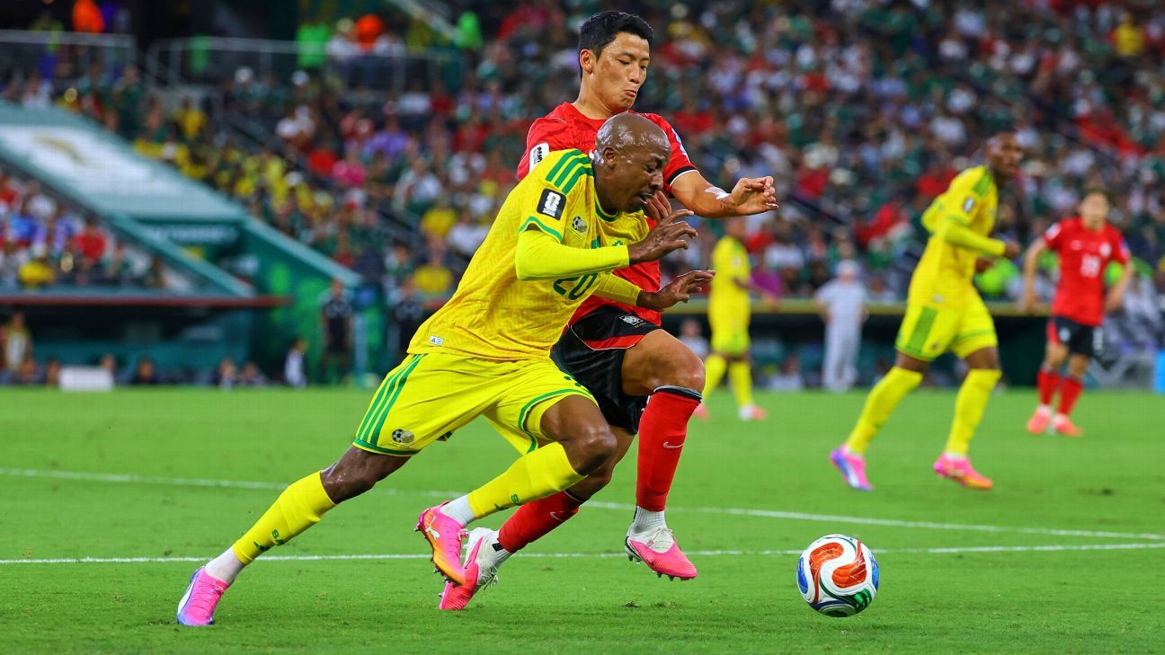 Korea and South Africa play a mixed area altercation