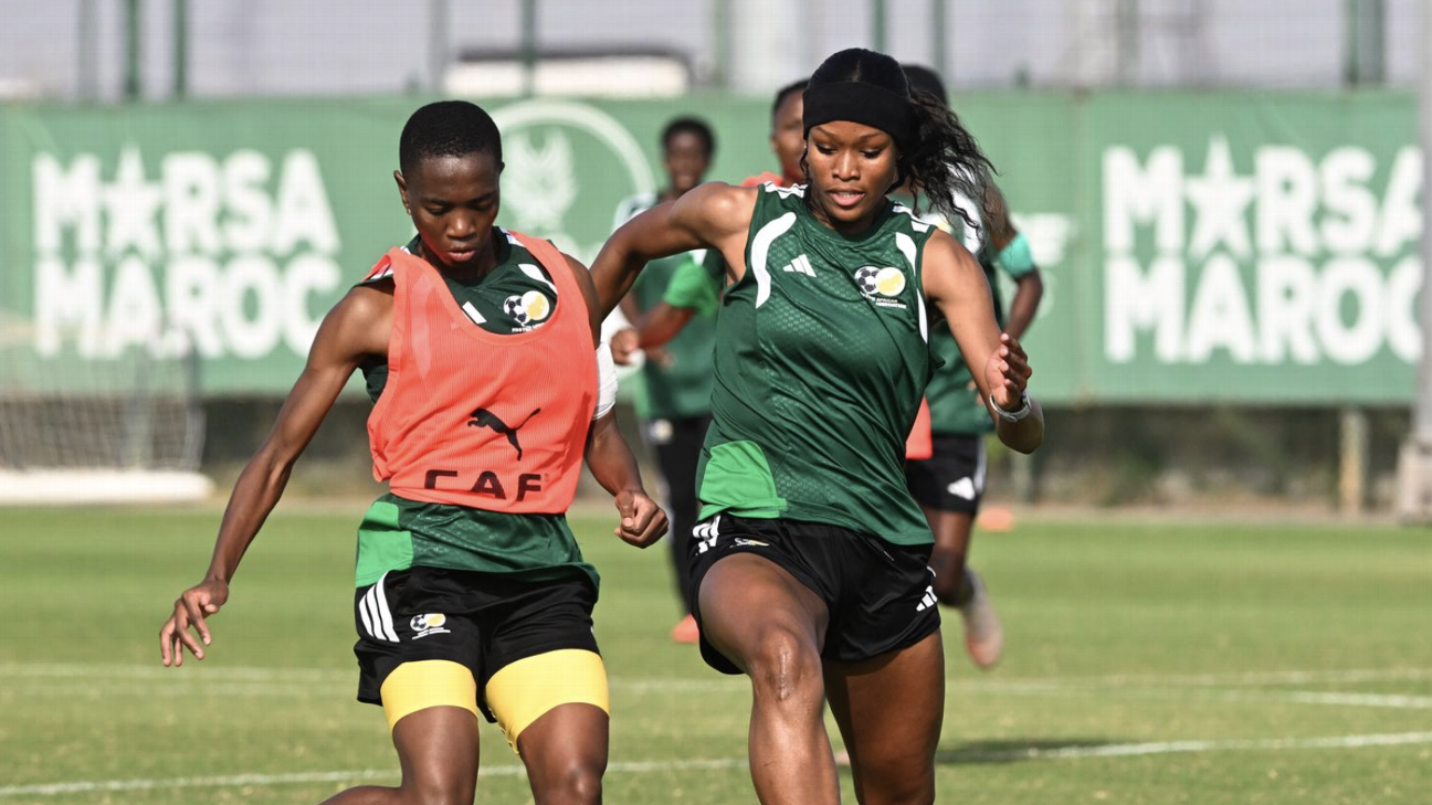 Banyana's Ronnel Donnelly 'needs minutes' to realise potential, Des Ellis says