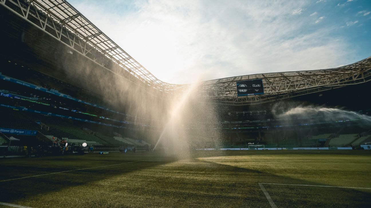 Palmeiras x Internacional: onde assistir ao vivo, horário, palpite e prováveis escalações do jogo do Brasileirão