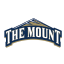 Mount St. Mary's Mountaineers