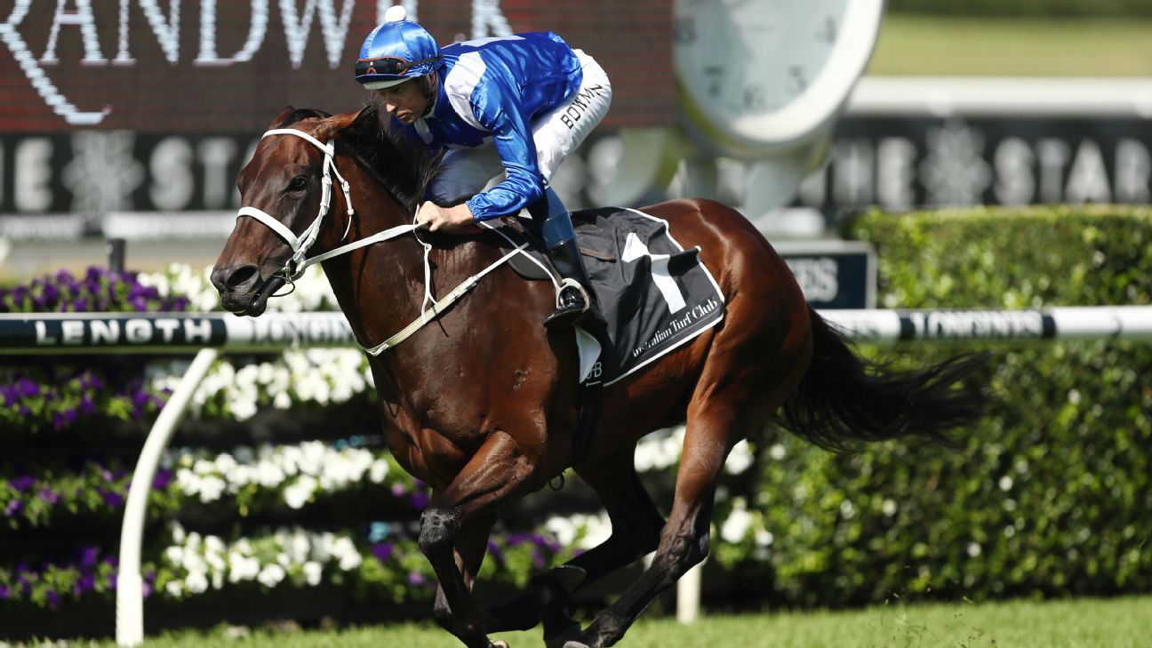 Winx foal sells for record price