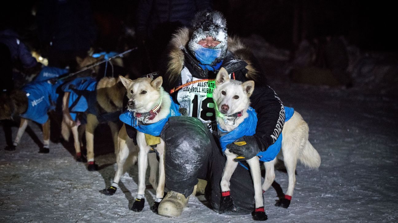 Iditarod rookie Bridgett Watkins determined to race following moose attack that injured her dogs
