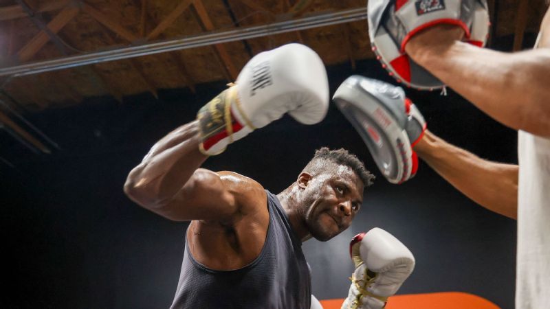 What is at stake in the fight between Anthony Joshua and Francis Ngannou?
