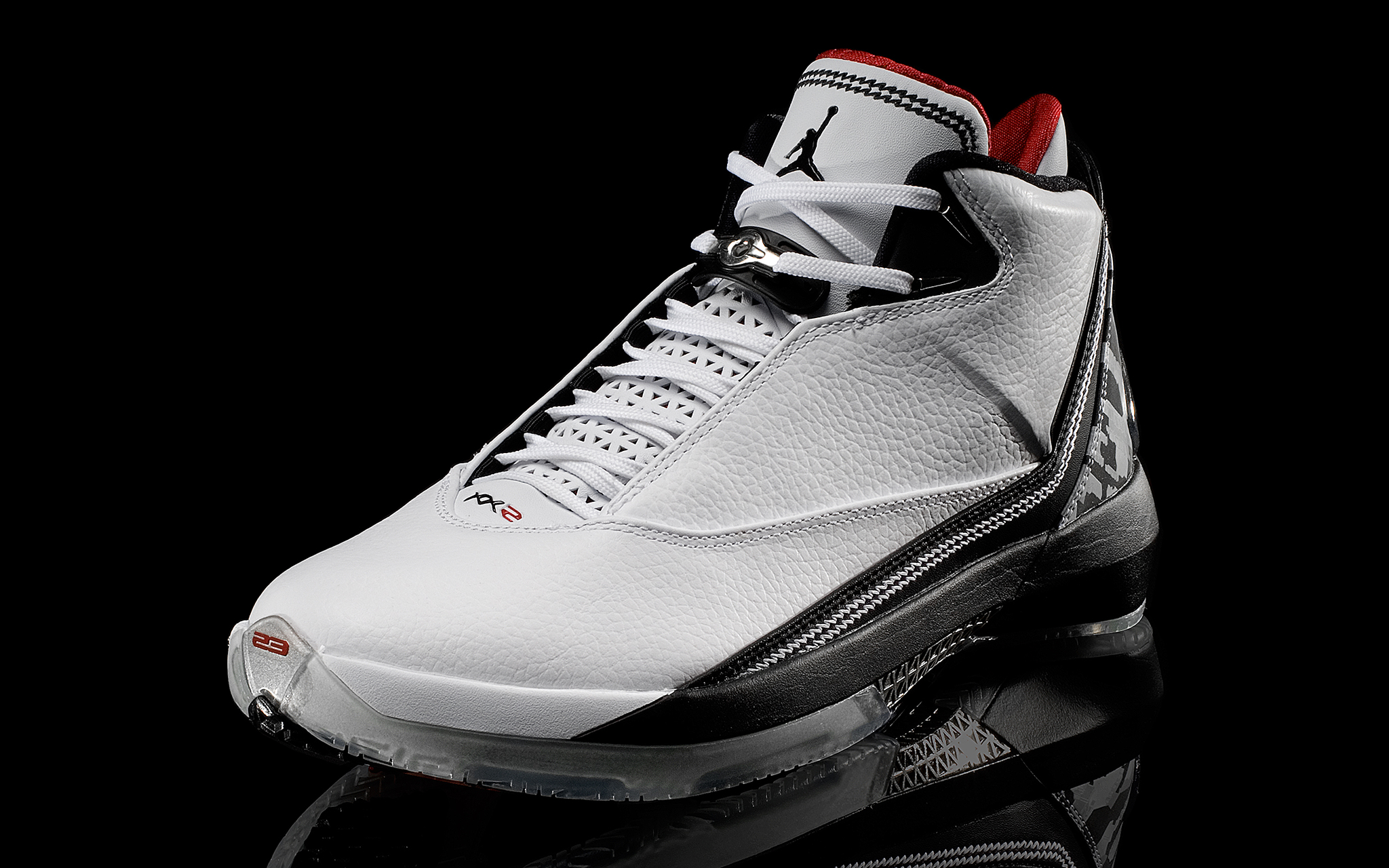 Air Jordan XX2 - Nate Robinson's Jordans - ESPN