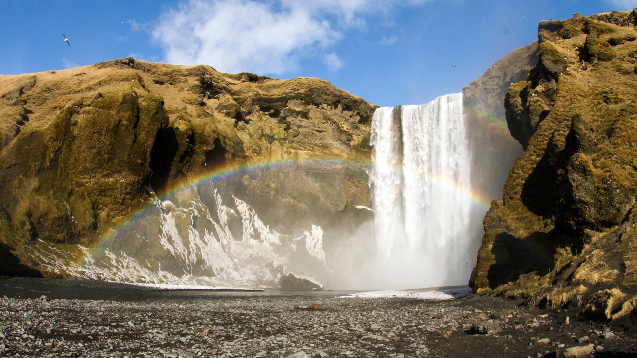 Surf Tripping Iceland